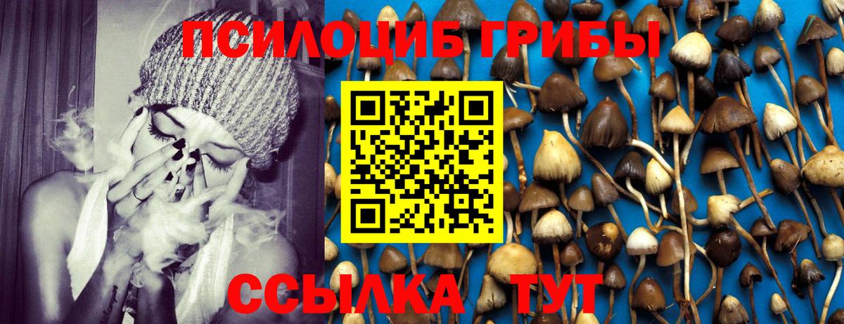 Галлюциногенные грибы Psilocybe Дзержинск