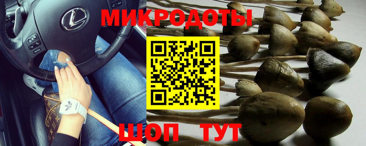 Дзержинск  что такое   Вход с VPN  Галлюциногенные грибы GOLDEN TEACHER 